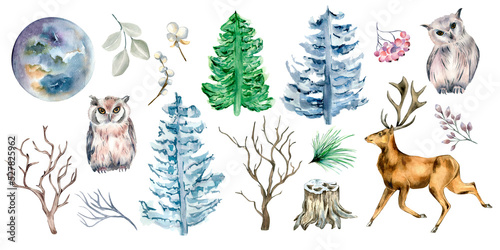 Fotografiet Set of deer, owl and fir trees watercolor illustration isolated on white background