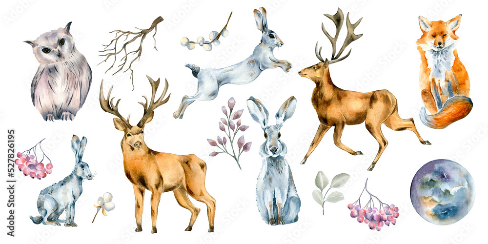 Set of wild animals and forest plants watercolor illustration isolated on white.