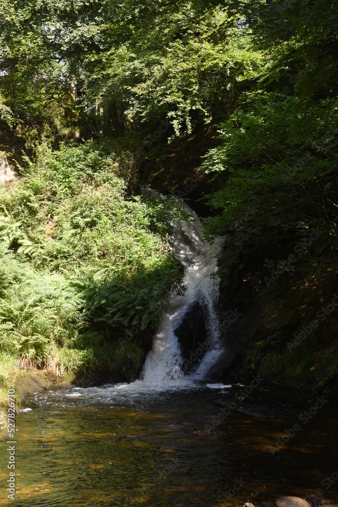 the waterfall at hafod estate
