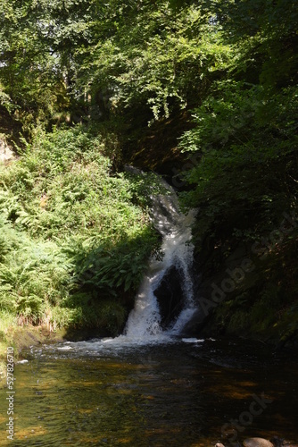 the waterfall at hafod estate © JoeE Jackson