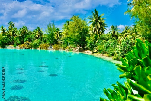 Wunderschöne Aufnahme in Französisch Polynesien Bora Bora  © MK