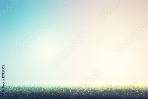 Football soccer grass field in spotlight background