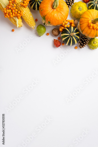 Autumn harvest concept. Top view vertical photo of raw vegetables pumpkins maize pattypans pear walnuts pine cones rowan and physalis on isolated white background with empty space photo