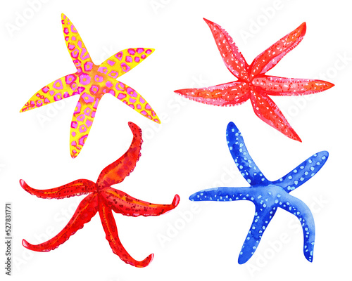 Set of watercolor colorful starfish. Sea star isolated on white photo