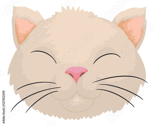 Face of cute kitten with tanned fur, Vector illustration