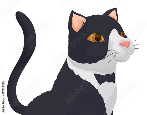 Elegant tuxedo cat with patch like a bow tie, Vector illustration