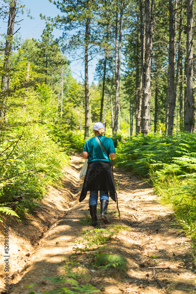 Fototapeta premium Mid age woman walking in forest