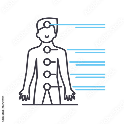 bodys meridians line icon, outline symbol, vector illustration, concept sign