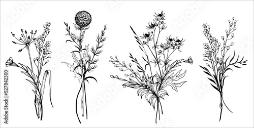 Set of wildflowers bouquets. Hand drawn black and white vector illustration.