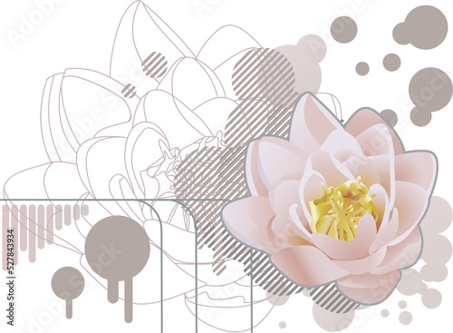 Valokuva lilly background Illustration