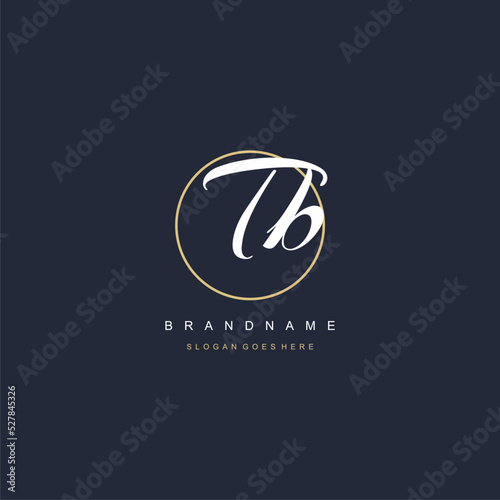 Initial letter TB logo monogram feminine style with circle line design ideas