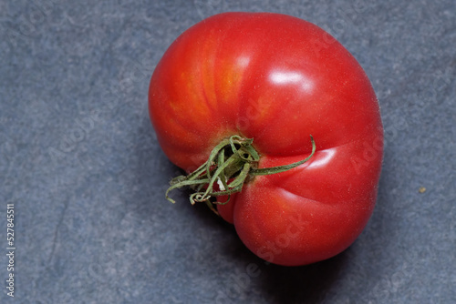 tomates - récolte - jardin