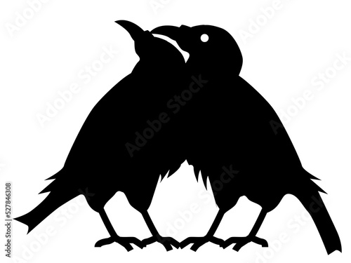 仲のいい2羽のカラス