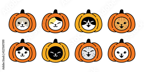 cat vector kitten icon pumpkin halloween calico logo pet head jack o lantern breed cartoon character symbol doodle illustration design clip art