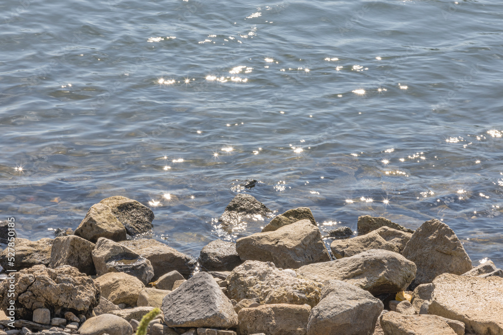 stones in the river