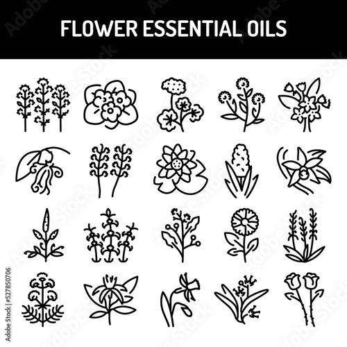 Flower essential oils color line icons set. Pictogram for web page, mobile app, promo
