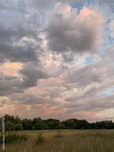 Landscape with meadow grasses at sunset © Elena Mykhailenko