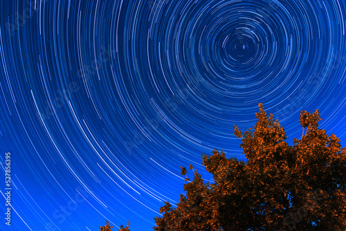 Cercles d'étoiles photo circumpolaire avec un le sommet d'un arbre 