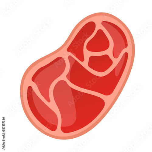 raw meat steak flat vector illustration clipart
