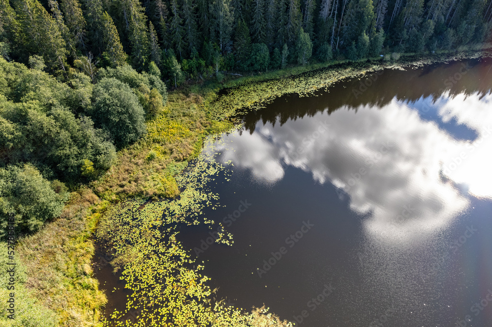 Drone photography of a small pond with green meadow and forest on the shore