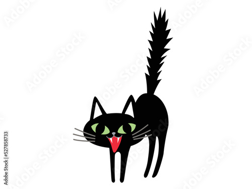 逆毛を立てて怒る黒猫　シャアー！