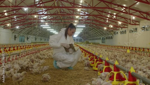 woman veterinarian in poultry farm photo