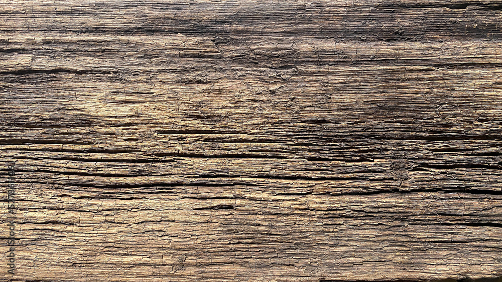 Archaeological Wood texture found in middle Volga Archaeological Wood texture found in middle Volga