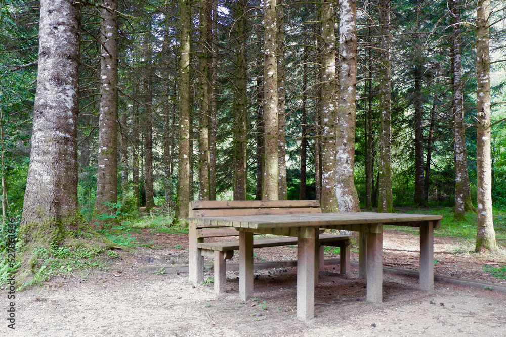 Resting spot with table and chair in the old forest in Bielsa, Huesca, Spain