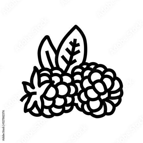 ripe blackberry leaf line icon vector. ripe blackberry leaf sign. isolated contour symbol black illustration