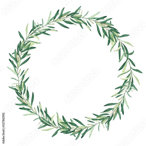 Watercolor olive wreath. Isolated on white background. Hand drawn botanical illustration. Can be used for cards  logos and food design.