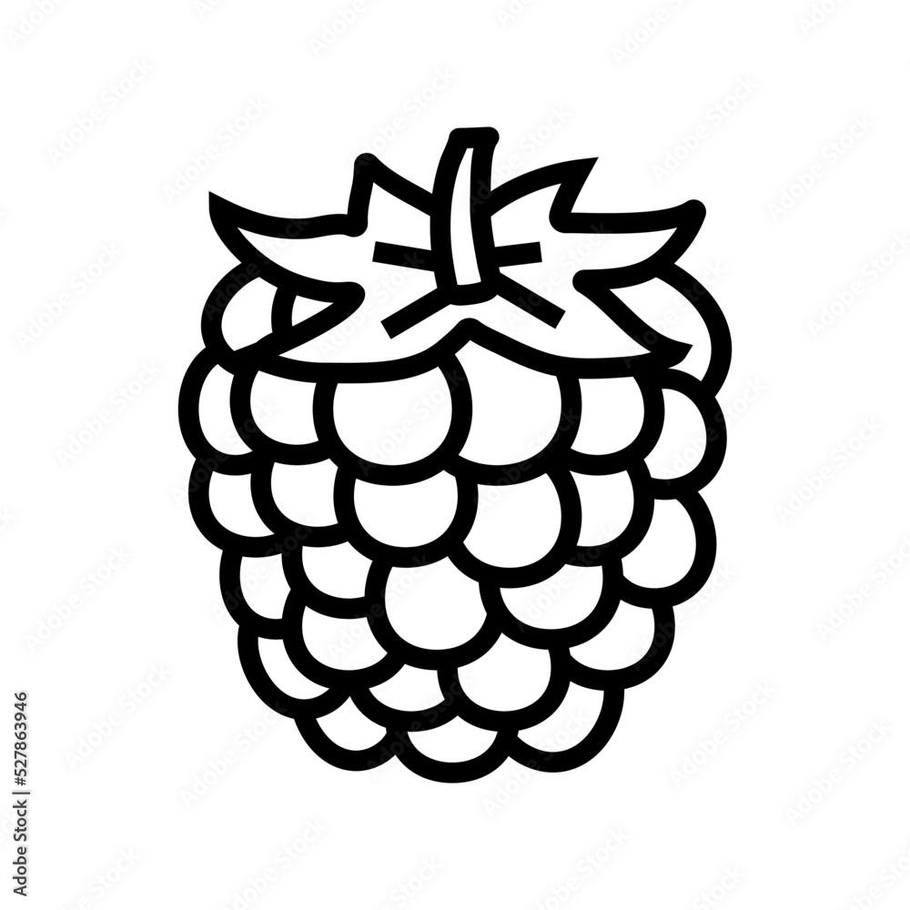 ripe blackberry line icon vector. ripe blackberry sign. isolated contour symbol black illustration ripe blackberry line icon vector. ripe blackberry sign. isolated contour symbol black illustration