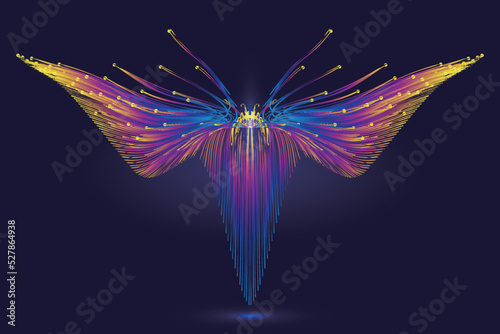 Colorful dotted line abstract flying wings or butterfly abstract graphic