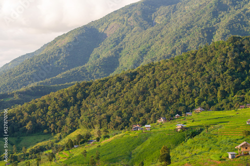 Landscapes rice terrace field at Pa Pong Piang village in Chiang Mai, Thailand
