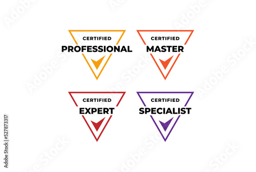 Triangle Certified Badge Emblem Label logo design for company training badge certificates to determine based on criteria vector illustration template