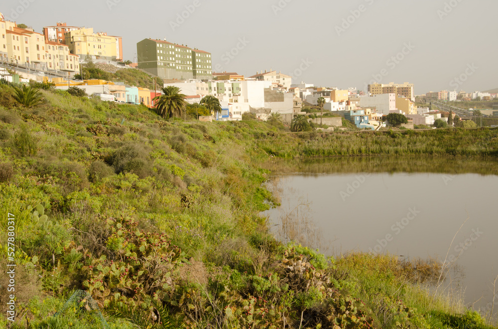 Pond of San Lorenzo. Las Palmas de Gran Canaria. Gran Canaria. Canary Islands. Spain.