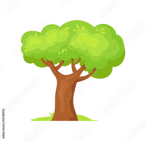 2D tree. Species green forest trees  vector design
