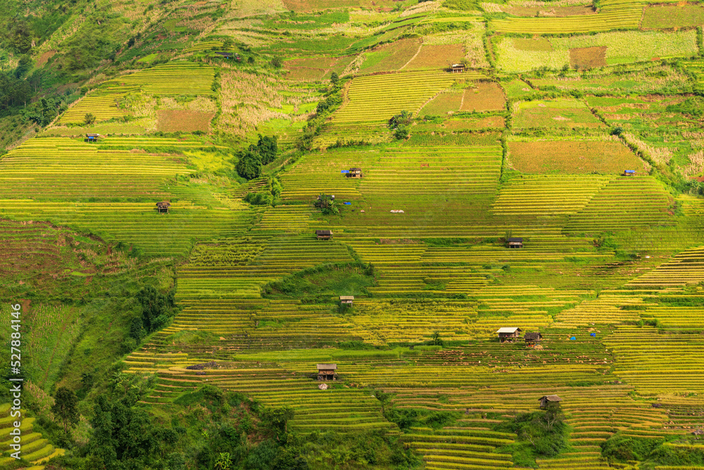 Huts and terraced rice fields in the mountains Morning, in Southeast Asia.