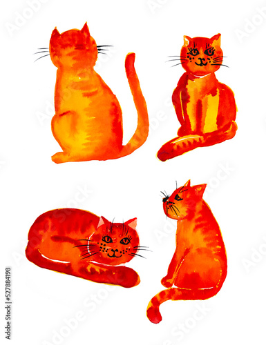 cute cat illustraion hand paited on a paper