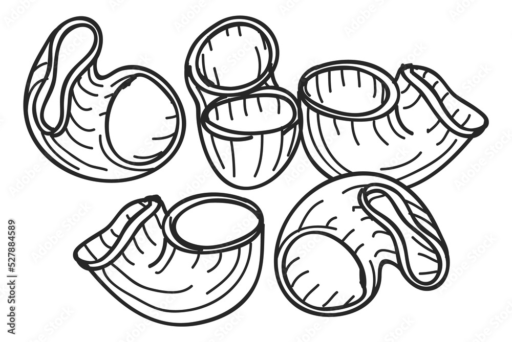 Macaroni sketch. Pipe rigate pasta shape in hand drawn style Macaroni sketch. Pipe rigate pasta shape in hand drawn style