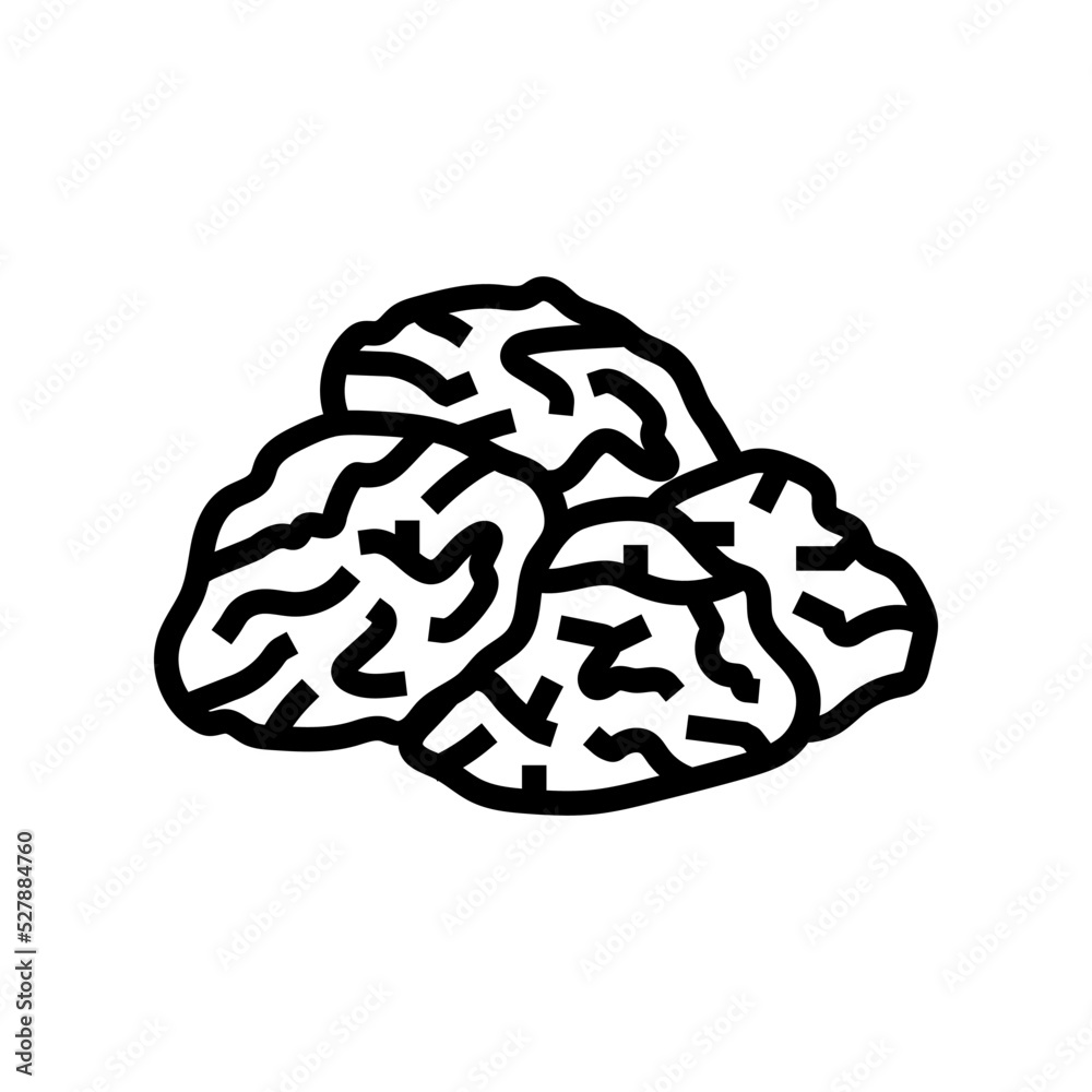 raisin grape line icon vector. raisin grape sign. isolated contour symbol black illustration raisin grape line icon vector. raisin grape sign. isolated contour symbol black illustration