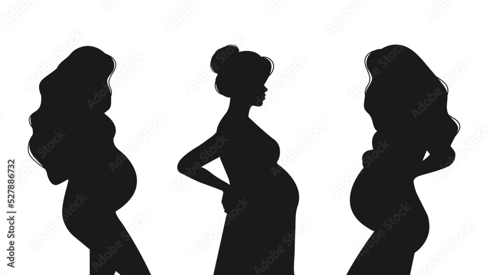 Set of silhouettes of pregnant women isolated on a white background. Vector illustration. Set of silhouettes of pregnant women isolated on a white background. Vector illustration.