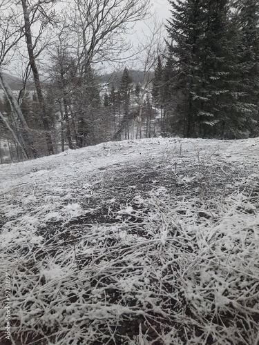 Dusting of Snow