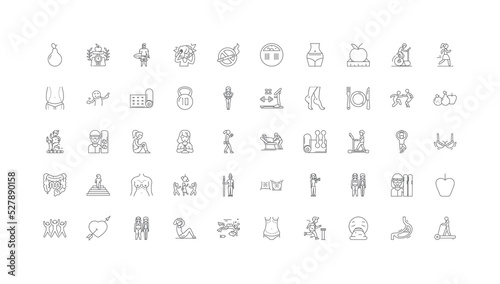 Weight loss concept illustration, linear icons, line signs set, vector collection