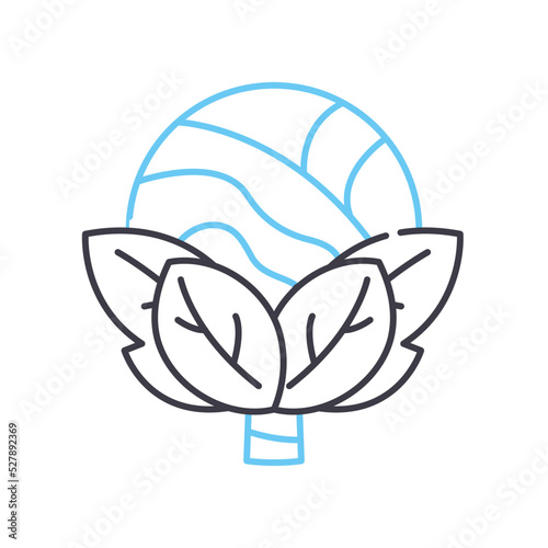 fresh cabbage line icon, outline symbol, vector illustration, concept sign