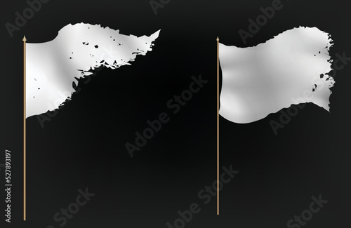Triangular torn waving flag.Ripped isolated flag vector
