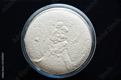 Fermented batter for idli or dosa