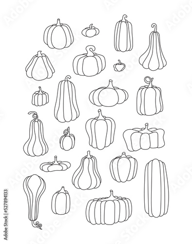 Coloring book. Silhouettes of pumpkins of various types and shapes on a white background. Hand-drawn. All objects are separated. Vector illustration.