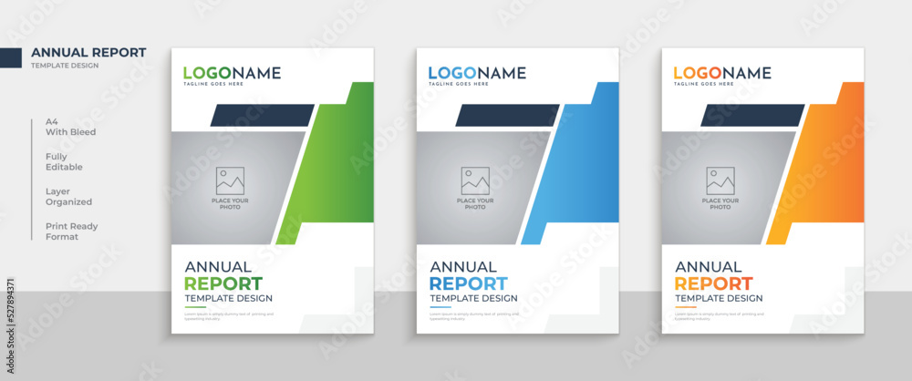 Professional business annual report flyer design with book cover  template layout