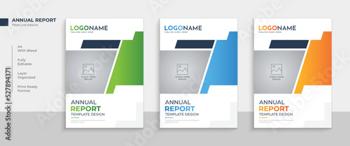 Professional business annual report flyer design with book cover template layout