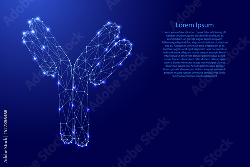 Antibody immunoglobulin coronavirus vaccine result from futuristic polygonal blue lines and glowing stars for banner, poster, greeting card. Vector illustration.